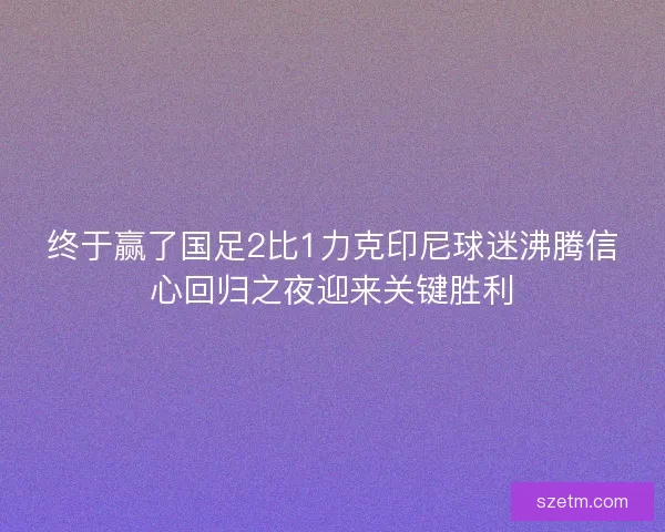 终于赢了国足2比1力克印尼球迷沸腾信心回归之夜迎来关键胜利