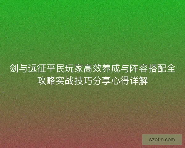剑与远征平民玩家高效养成与阵容搭配全攻略实战技巧分享心得详解